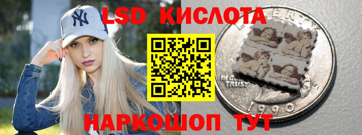 Псилоцибиновые грибы Алексин