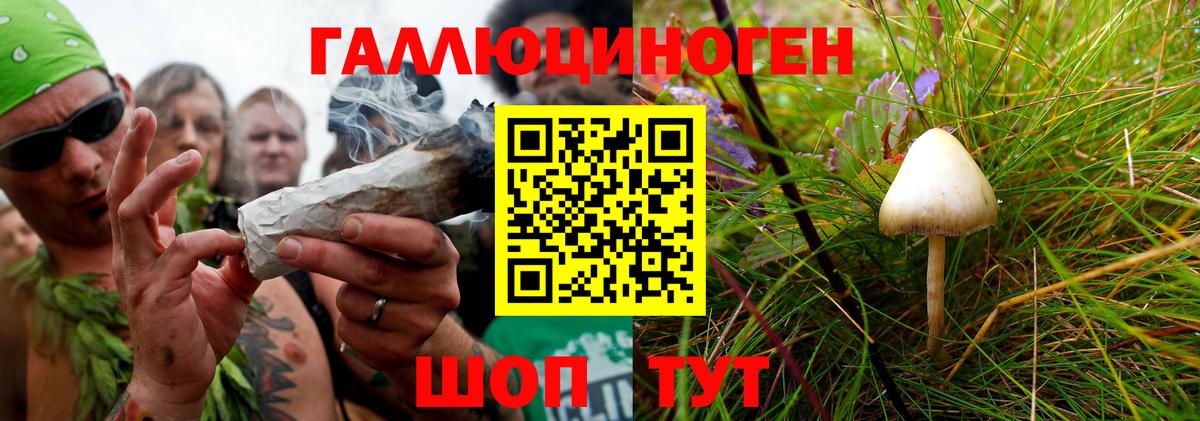 Псилоцибиновые грибы мицелий Алексин