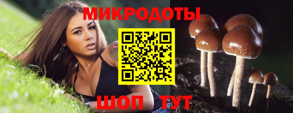 Галлюциногенные грибы Magic Shrooms  купить наркотики сайты  Алексин  Вход с VPN 